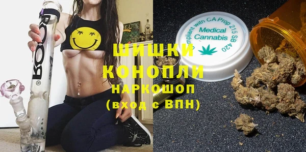 молекула духа Бронницы
