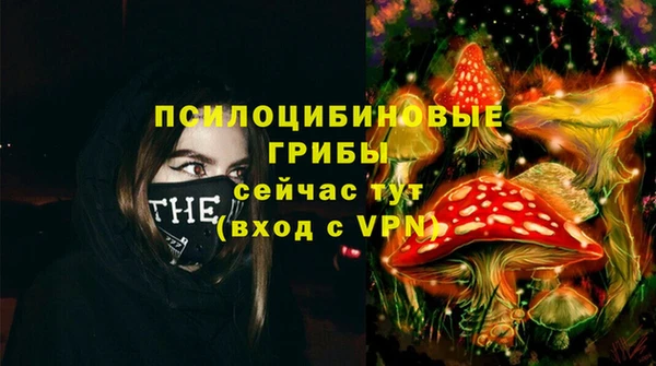 стафф Бородино